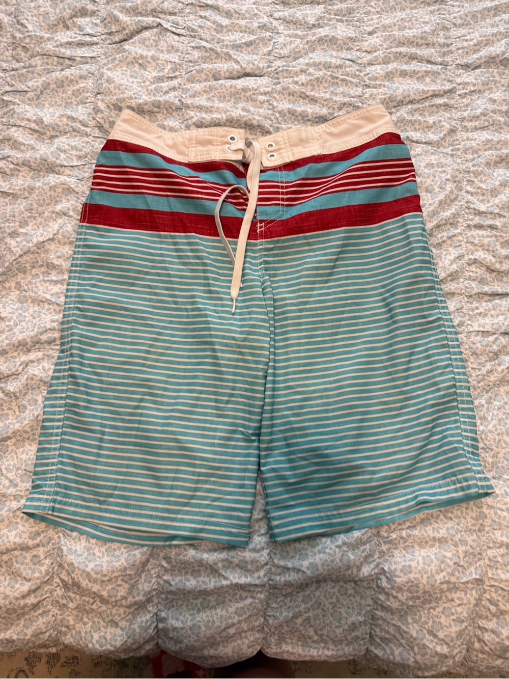 Mossimo Supply Co. Aqua & Red Striped Swim Shorts